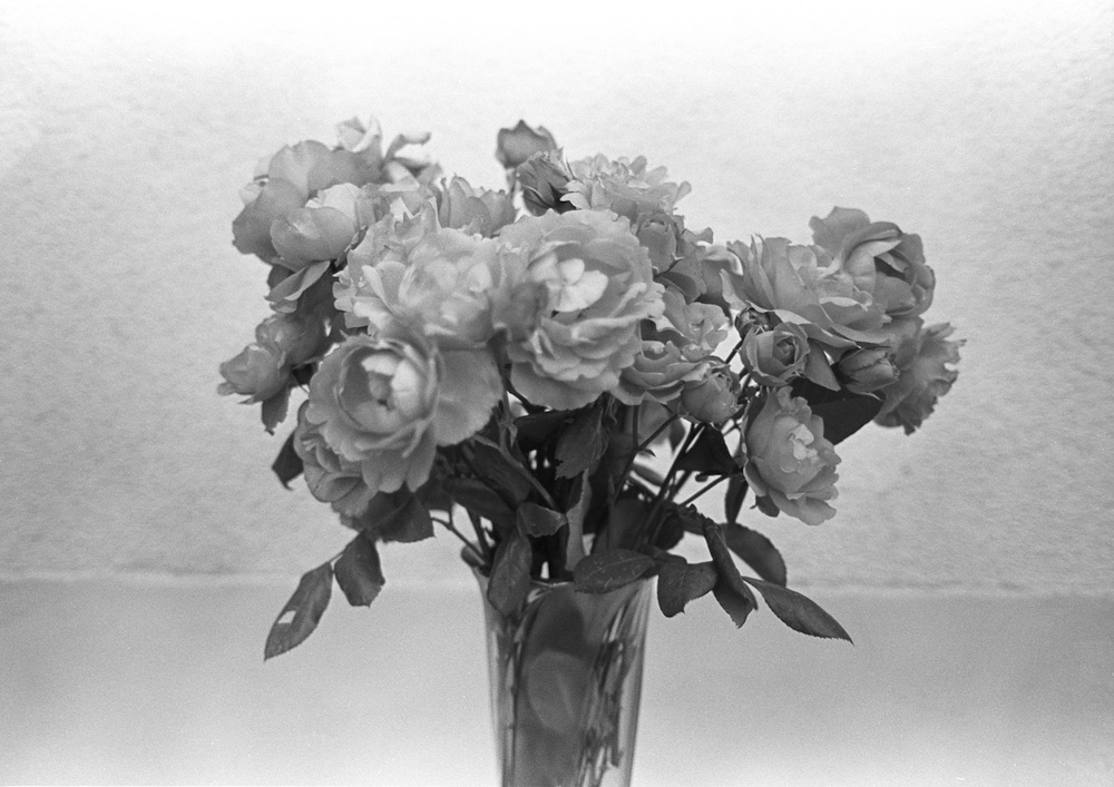 Fleur