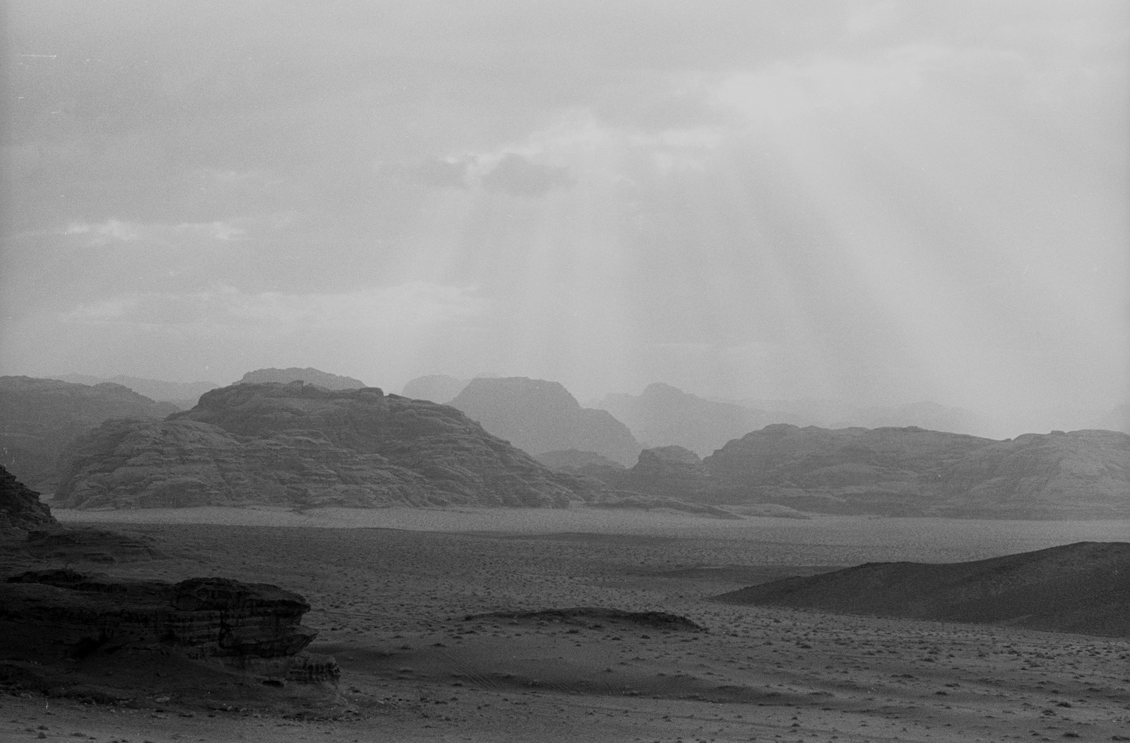 Landscape Collection